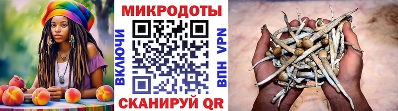 магазин наркотиков Райчихинск Галлюциногенные грибы мицелий
